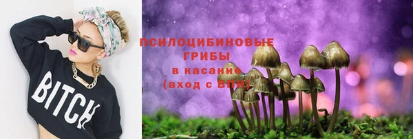 а пвп мука Семёнов