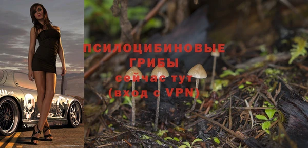 а пвп мука Саяногорск