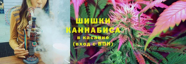 индика Семилуки