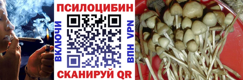 Псилоцибиновые грибы GOLDEN TEACHER Купить закладки Прохладный